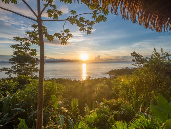 Tailor made Costa Rica wildlife holiday