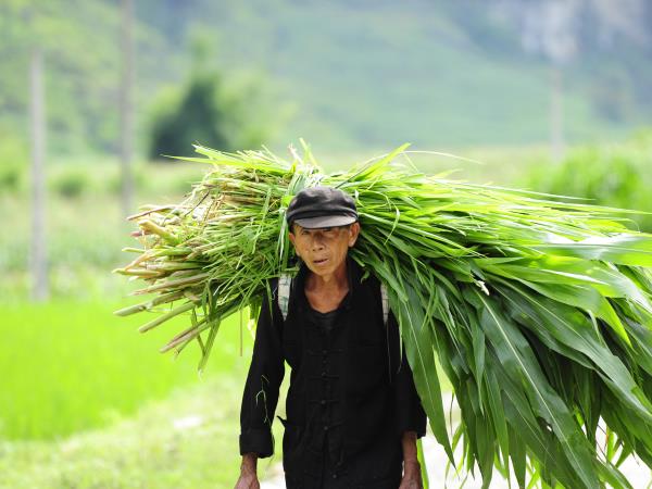 Vietnam off the beaten track holiday
