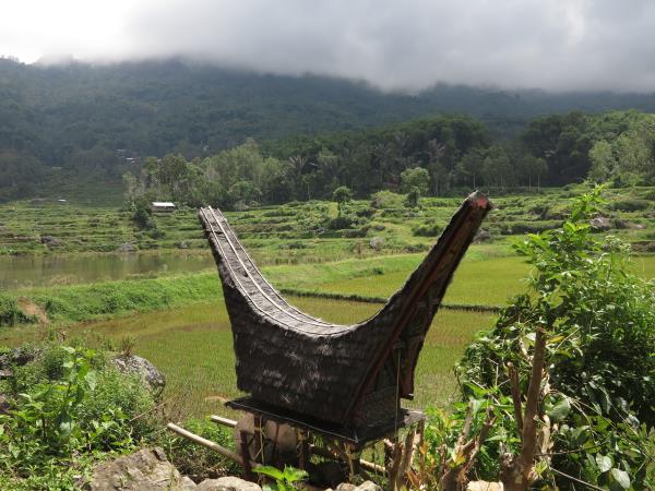Sulawesi holiday, 13 days