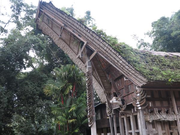 Sulawesi holiday, 13 days