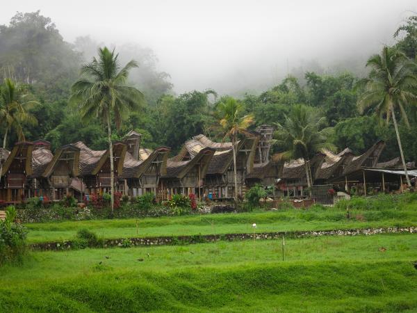 Sulawesi holiday, 13 days