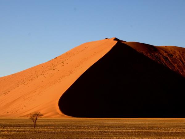 Namibian wildlife safari, tailor made