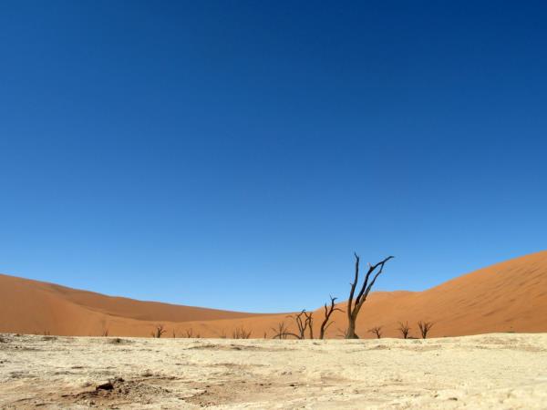 Namibian wildlife safari, tailor made