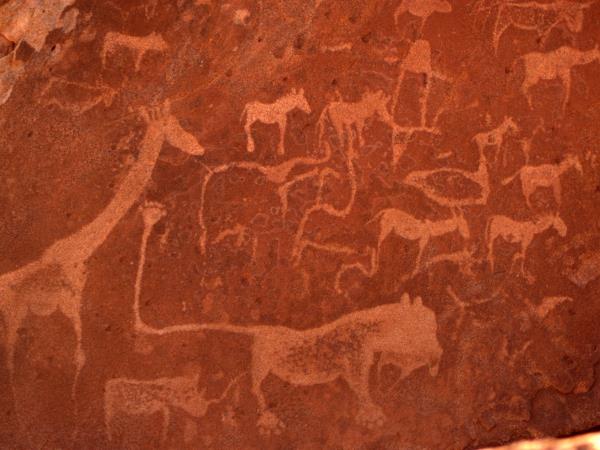 Namibian wildlife safari, tailor made