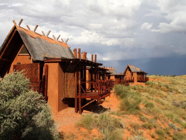 Kalahari safari in South Africa