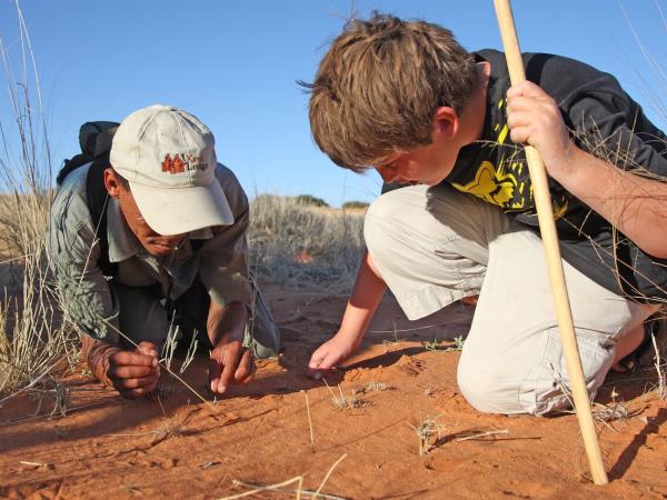 Kalahari safari in South Africa