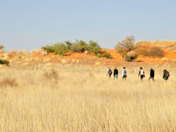 Kalahari safari in South Africa