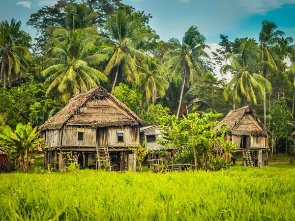 Papua New Guinea small group tour