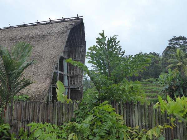 Indonesia holidays, tailor made, Eastern Bali
