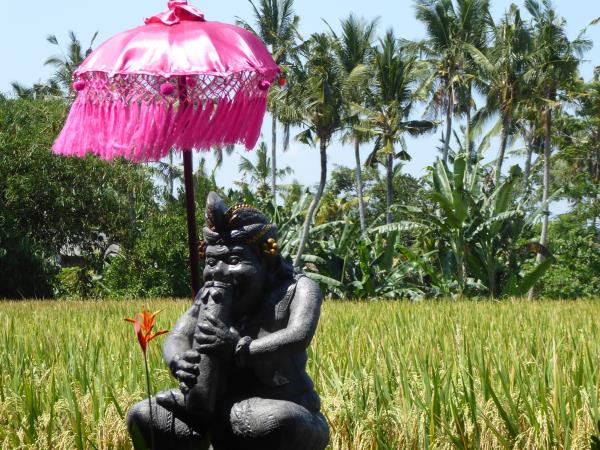 Indonesia holidays, tailor made, Eastern Bali