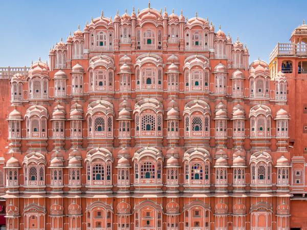 Tiger safari and Golden Triangle tour in India