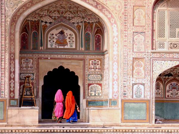 Tiger safari and Golden Triangle tour in India