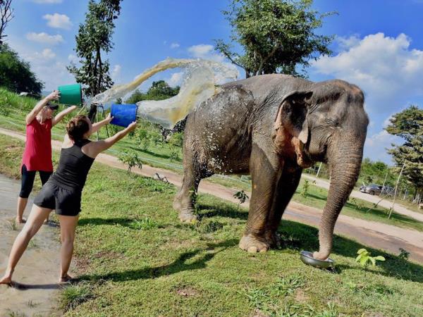 Elephant conservation holiday, Thailand