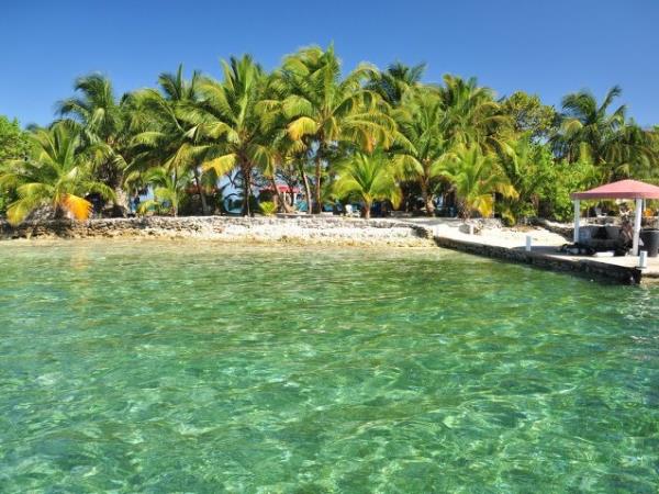 Reef conservation volunteering in Belize