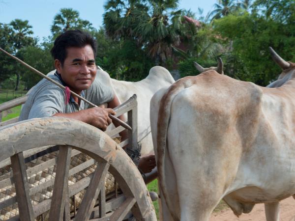 Vietnam and Cambodia tailor made tours