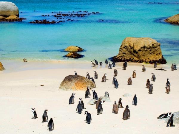 Cape Town walking holiday