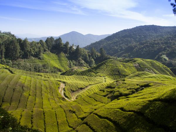 Tailor made Malaysia holidays