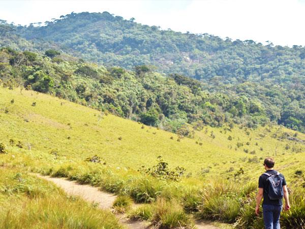 Sri Lanka Walking Holidays
