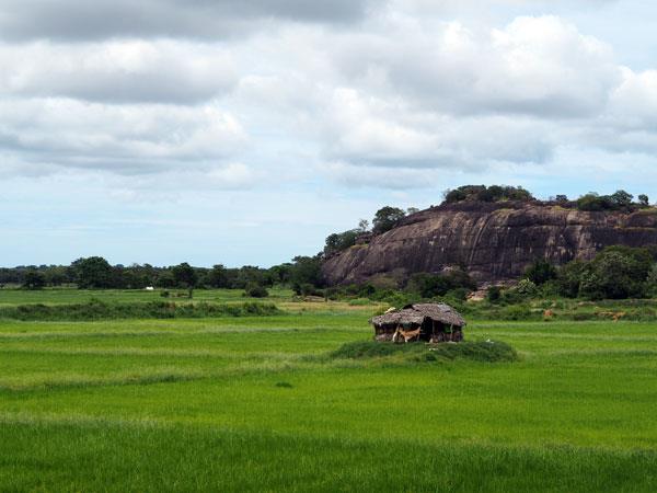 Sri Lanka coast to coast cycling holiday