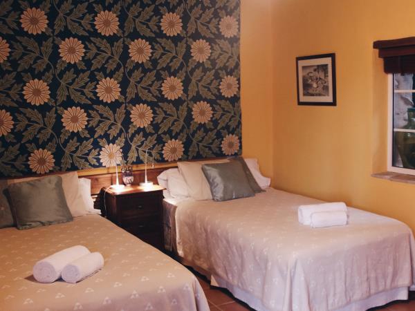 Yoga and walking retreats in Spain