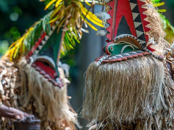 Melanesia cruise, wildlife cruise