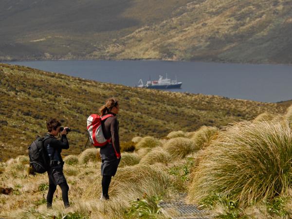 New Zealand wildest Island cruise, inc Stewart Island