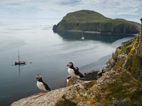 Outer Hebrides and Shiant Isles cruise, Scotland