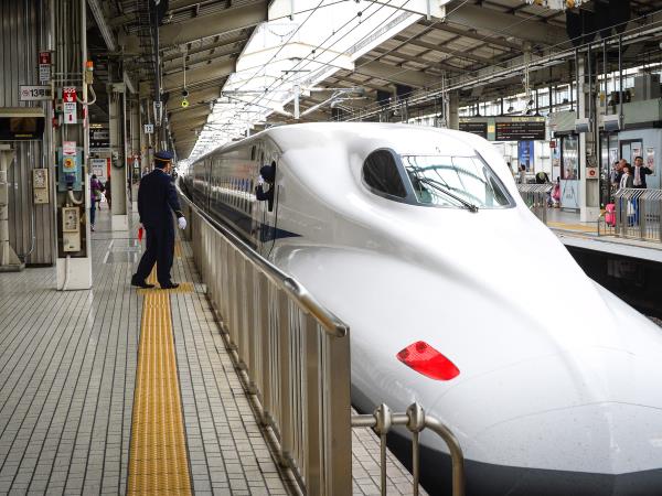 20 day Japan tour, private departure