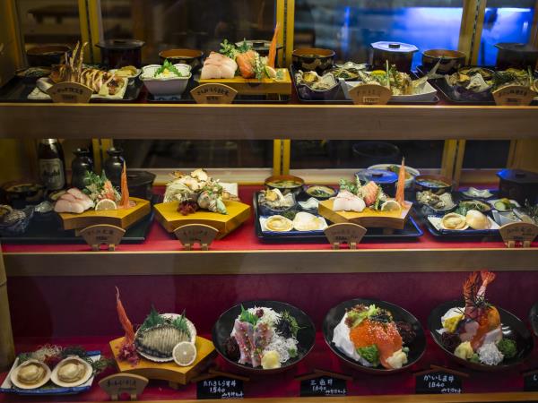 20 day Japan tour, private departure