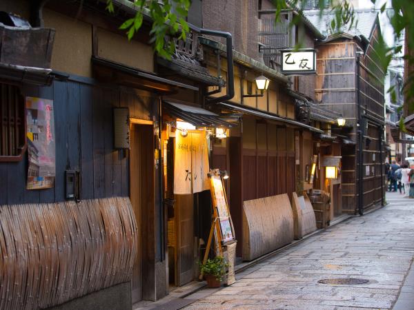 20 day Japan tour, private departure
