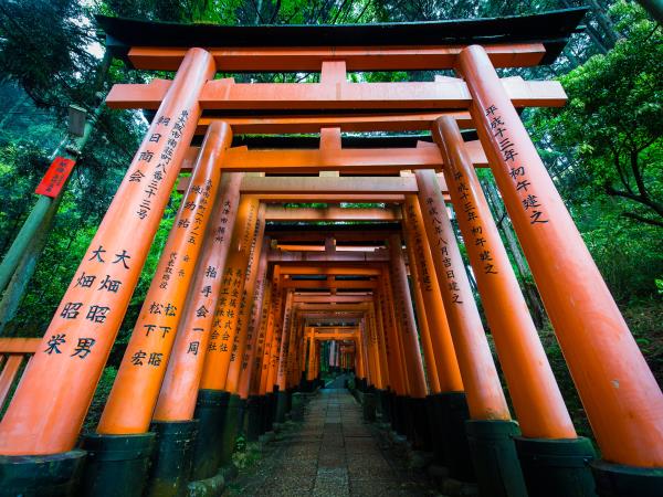 20 day Japan tour, private departure