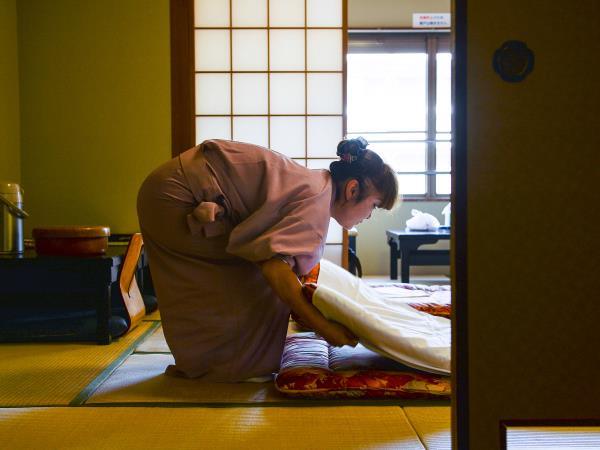 20 day Japan tour, private departure