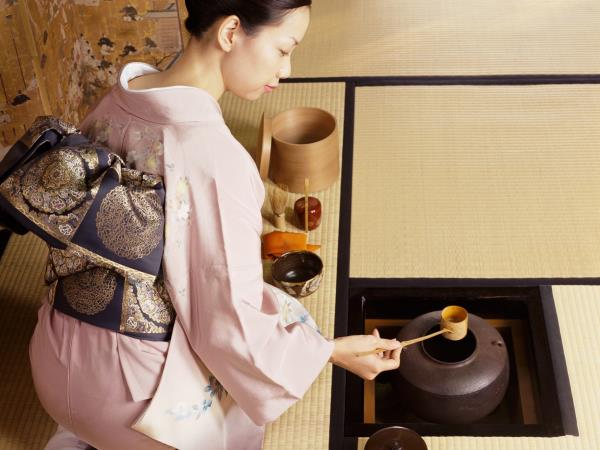 20 day Japan tour, private departure