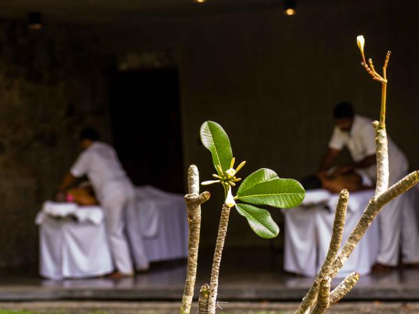 Sri Lanka holiday, culture & relaxation