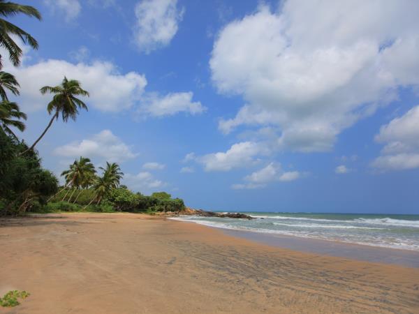 Sri Lanka holiday, culture & relaxation
