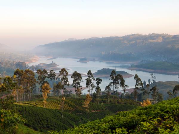 Sri Lanka luxury honeymoon