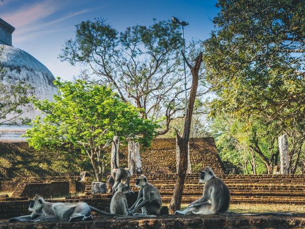 Luxury honeymoon in Sri Lanka