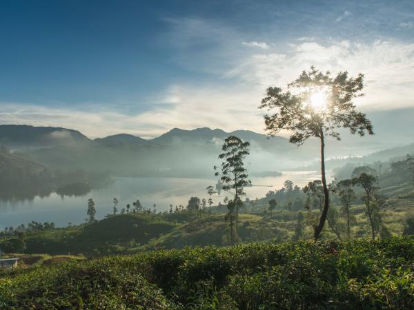 Wellness and spa holiday in Sri Lanka
