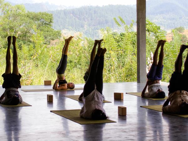Wellness and spa holiday in Sri Lanka