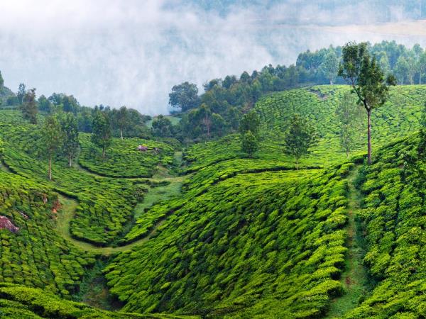 Southern India small group tour
