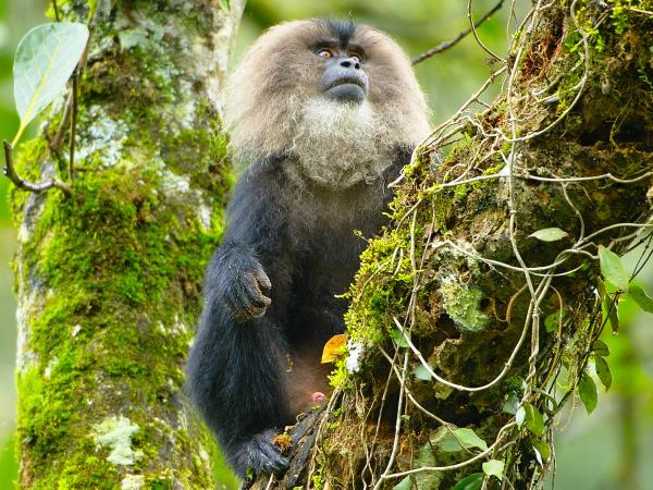 Southern India small group tour