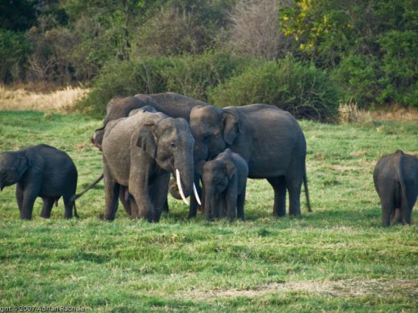 Northern Sri Lanka holiday
