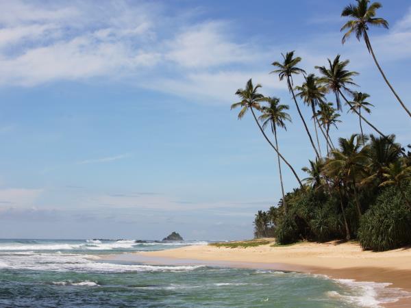 Fair trade tour in Sri Lanka