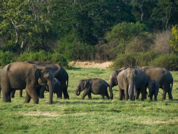 Fair trade tour in Sri Lanka