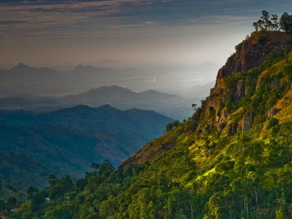 Fair trade tour in Sri Lanka