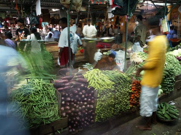 Fair trade tour in Sri Lanka