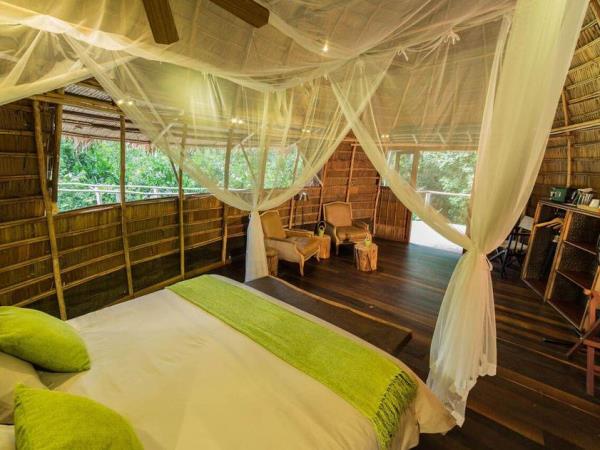 Congo safari with gorilla trekking