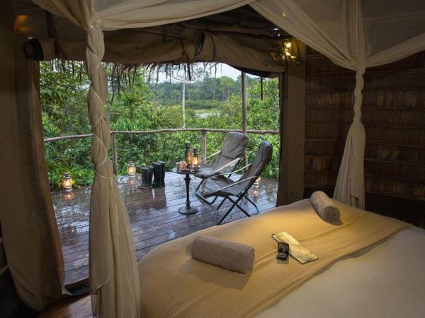Congo safari with gorilla trekking