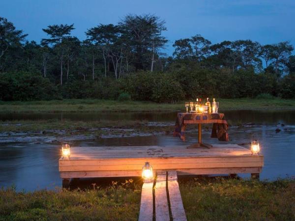Congo safari with gorilla trekking