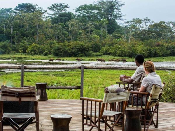 Congo safari with gorilla trekking